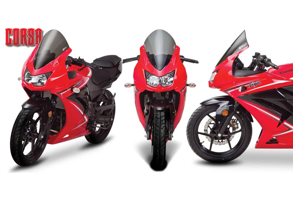 Kawasaki Ninja 250R 08-12 - Image 6