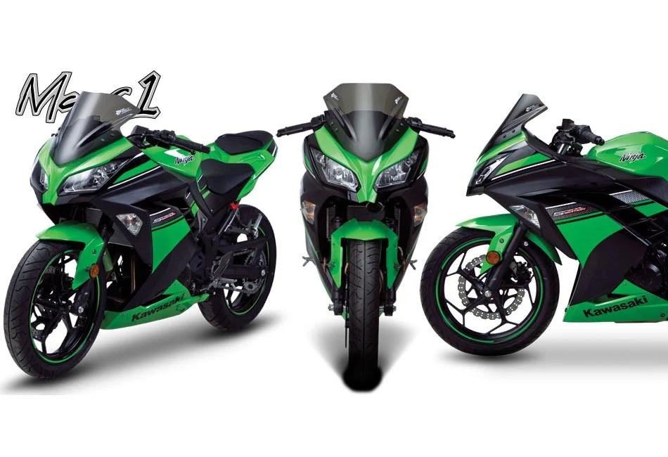 Kawasaki Ninja 300R / 250R 13-19 - Image 10
