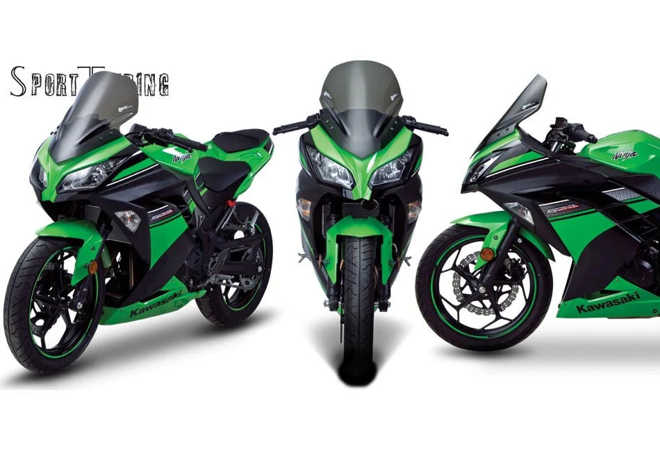 Kawasaki Ninja 300R / 250R 13-19 - Image 7