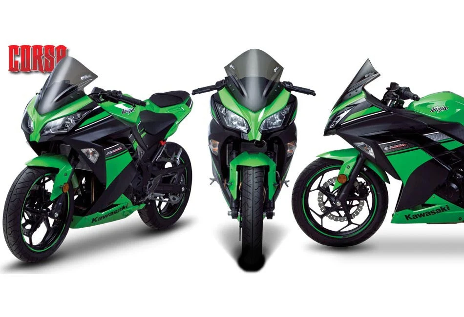 Kawasaki Ninja 300R / 250R 13-19 - Image 9